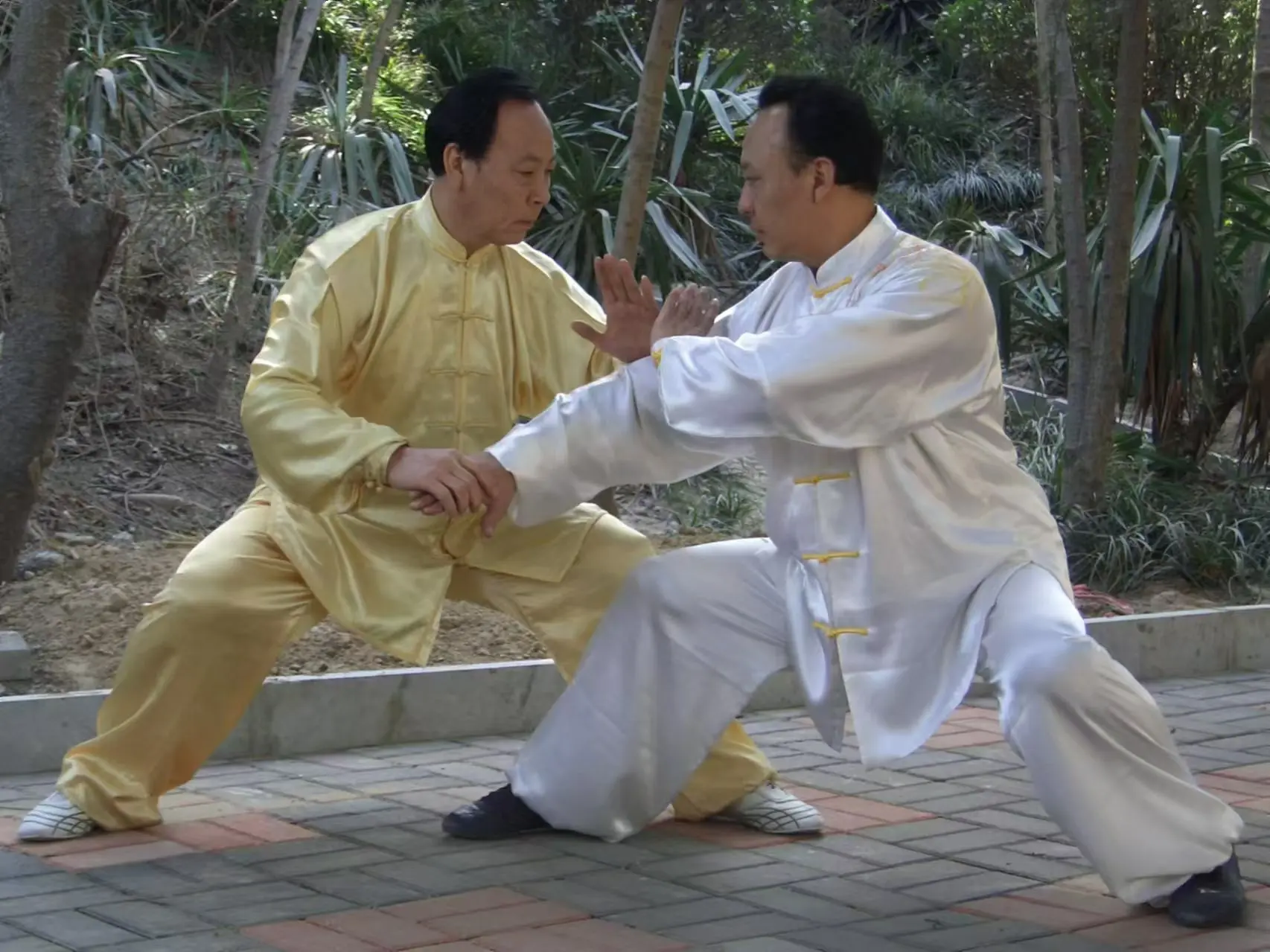 Tai chi for cognitive health in aging