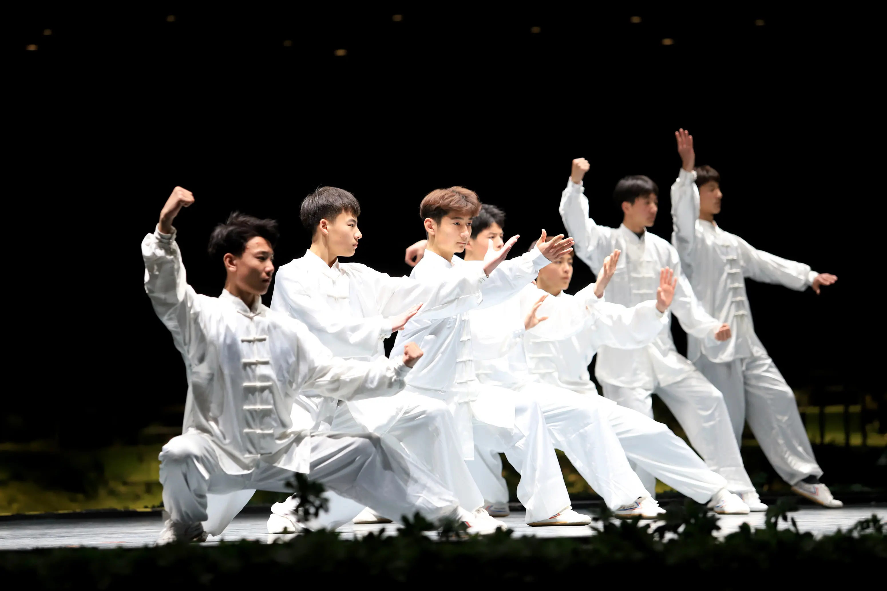 Tai Chi as a martial art application