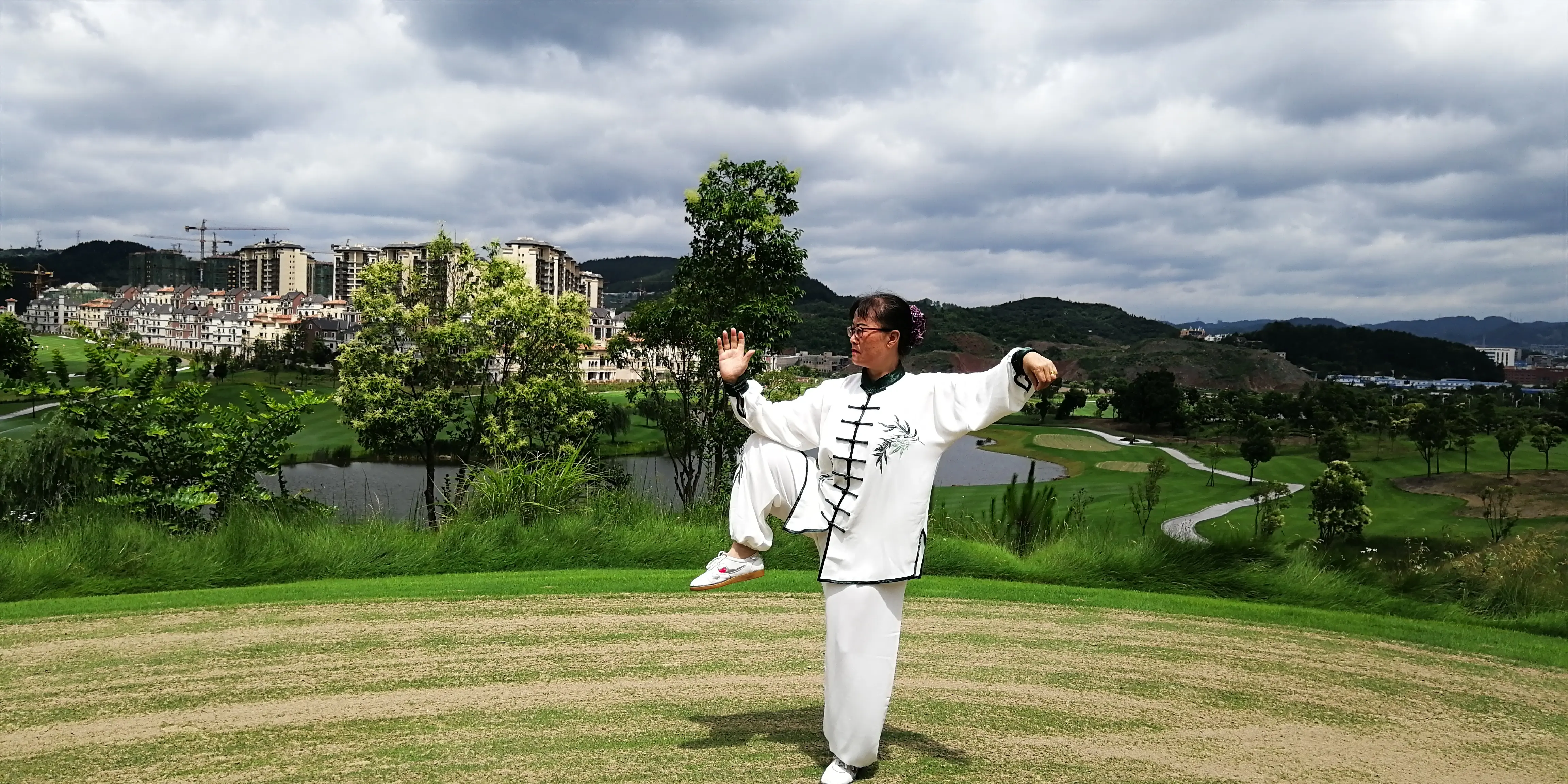 Basic Tai Chi moves for beginners