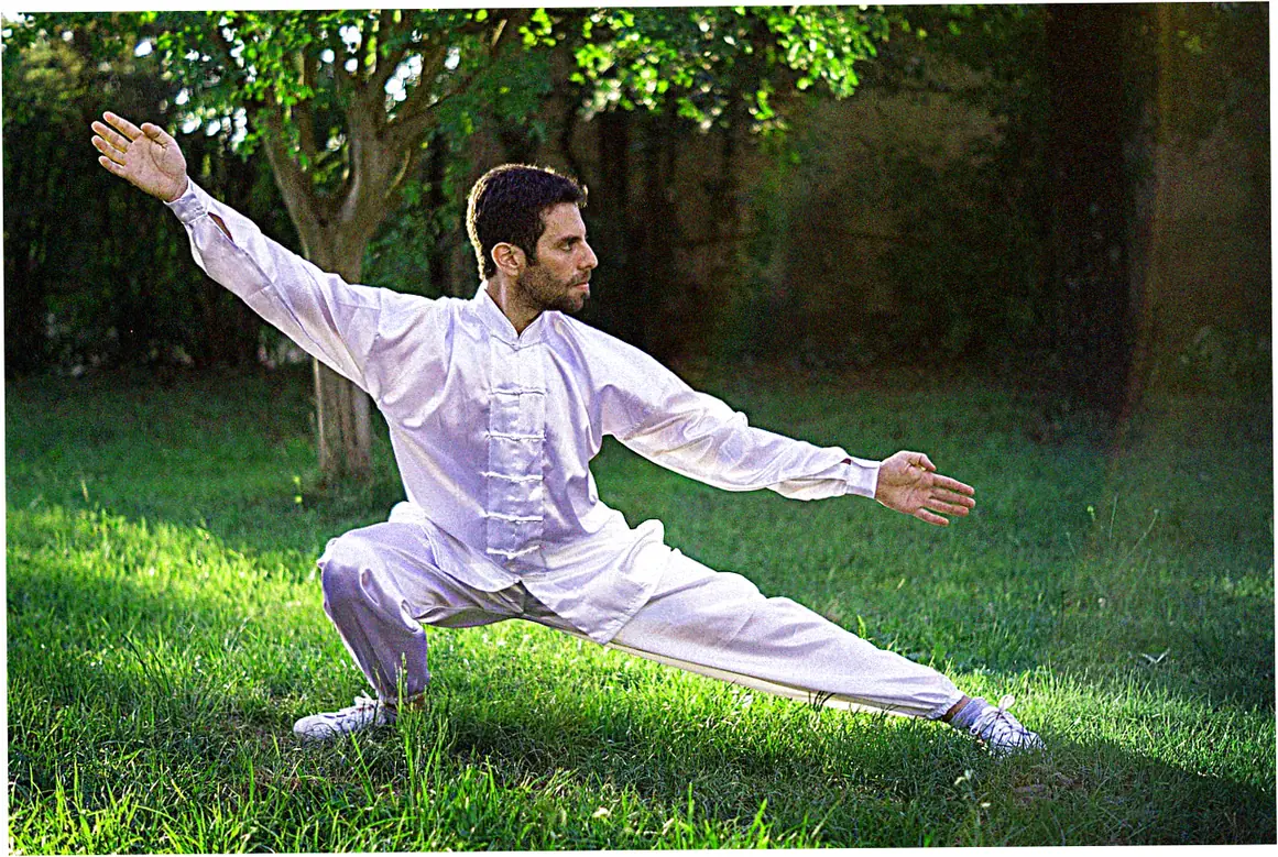 sun style tai chi chuan
