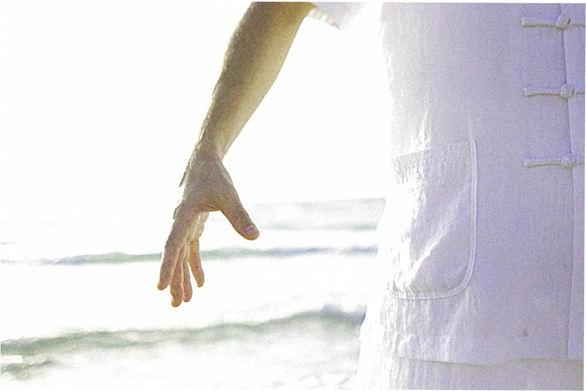 Learning Sun style tai chi chuan online
