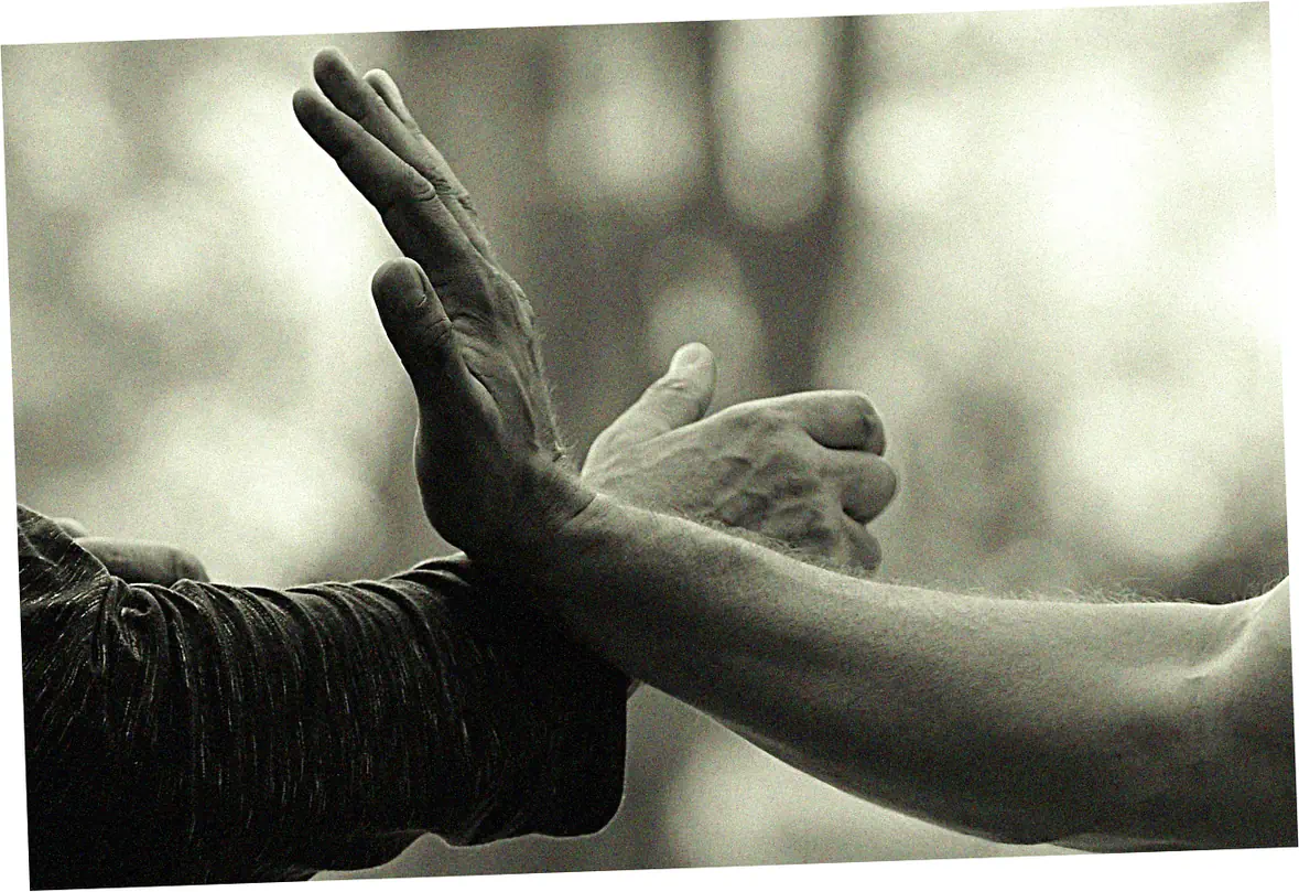 Advanced techniques in Sun style tai chi