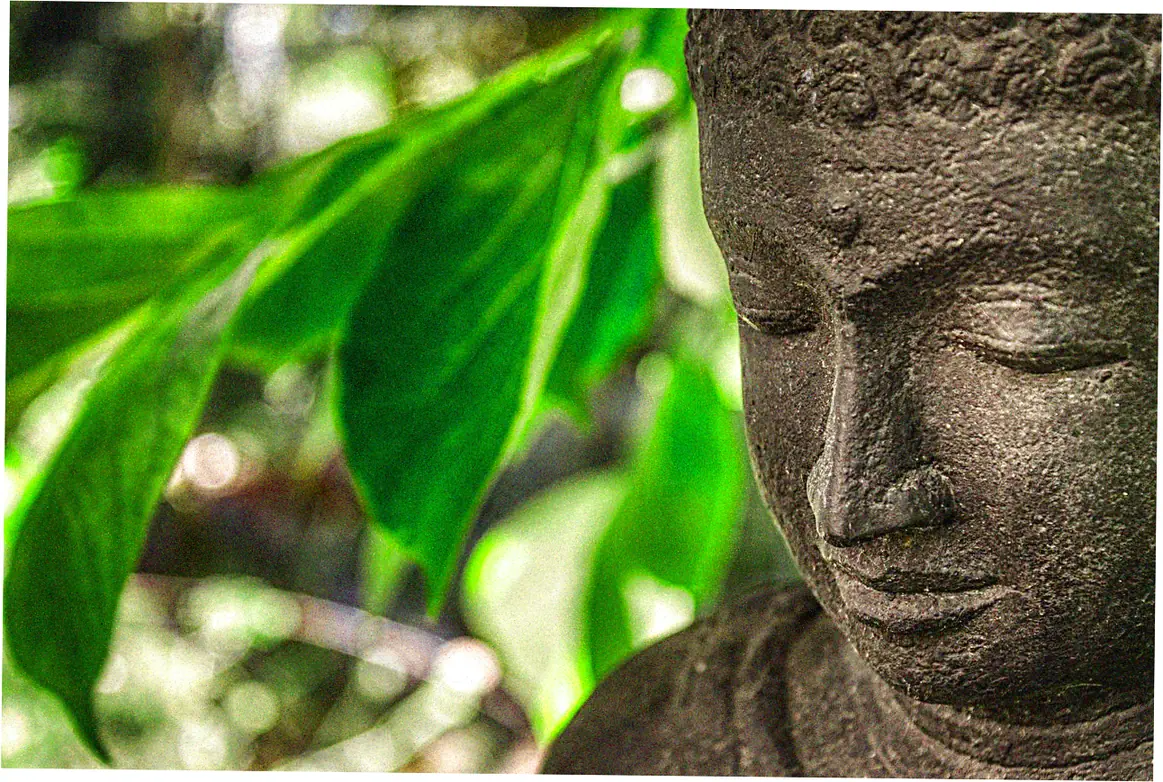 Where did Tai Chi Chuan originally develop?