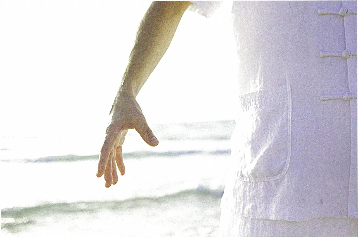 Which tai chi chuan books address common injuries?