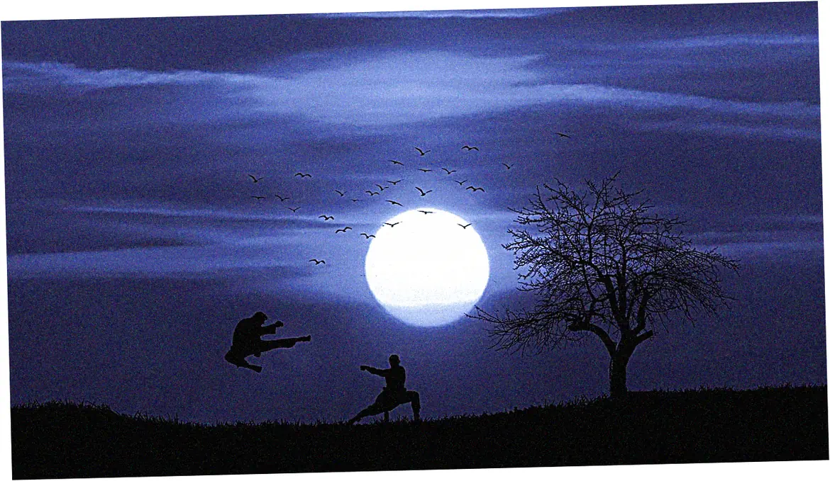 How do tai chi chuan books approach meditation aspects?