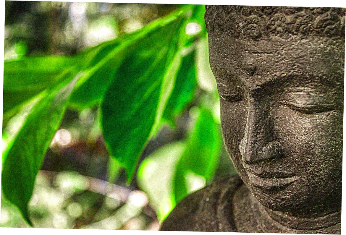 Is Tai Chi effective for stress and anxiety reduction?