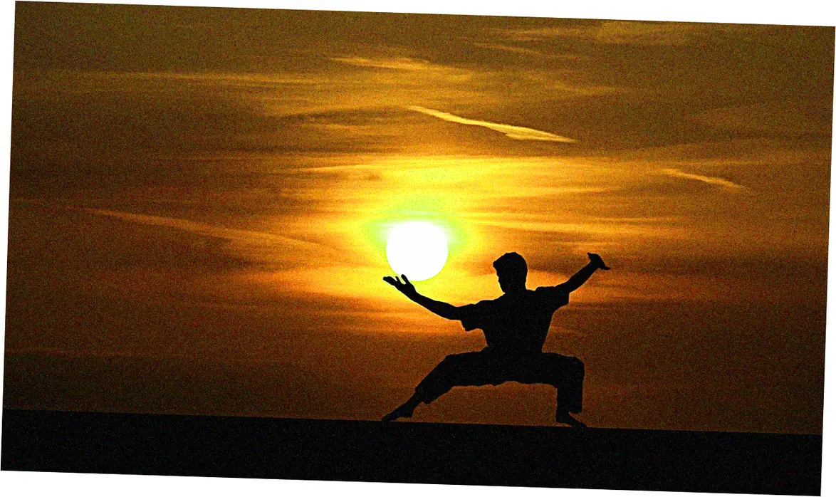 Foundational Stances and Weight Shifting